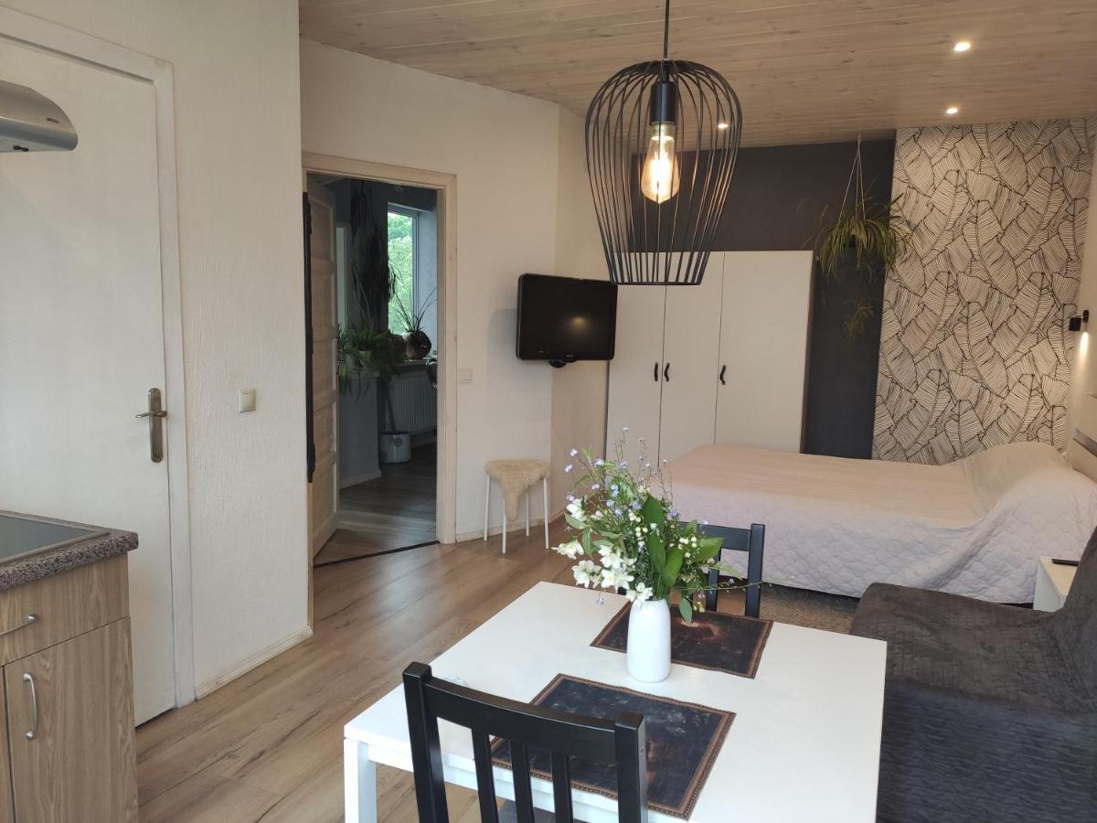 Family House Hotel Друскининкай Екстериор снимка