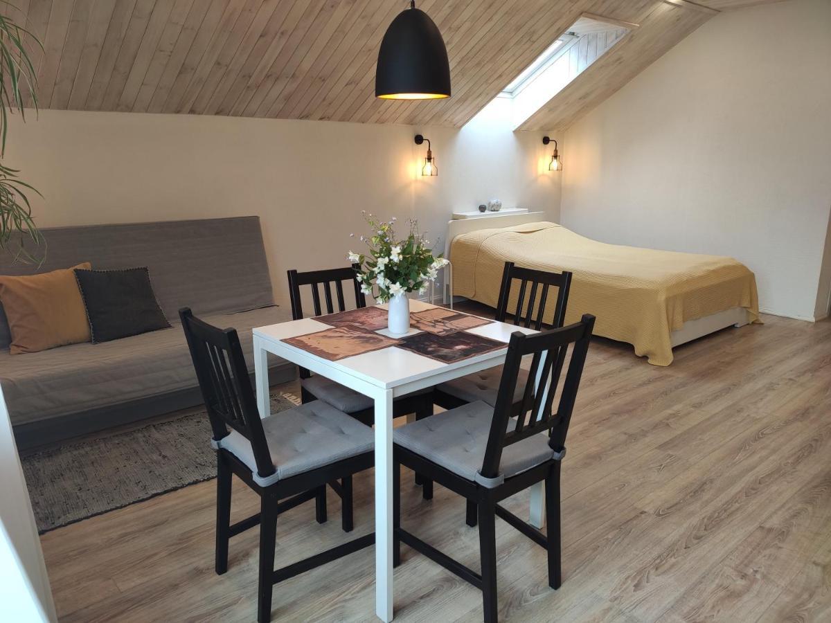 Family House Hotel Друскининкай Екстериор снимка